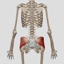 김범준트레이닝센터 이미지