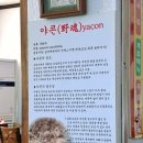 야콘 본가 이미지