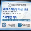 눈이부시게카워시 이미지