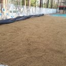 호산초등학교 병설유치원 이미지