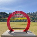 구만리농장 | 한국판 알프스 국내 수선화 명소 전남 구례 지리산 치즈랜드 방문 후기