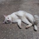 김영란농장 이미지