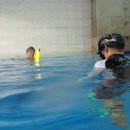 스킨수영(스노클링,스킨다이빙,핀수영,프리다이빙,스킨스쿠버다이빙)14회 교육 사진(8월 25일 목요일) 이미지