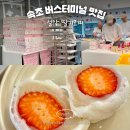 터미널 앞 | 설악 딸기모찌 내돈내산 속초 터미널 앞 간식 추천 후기