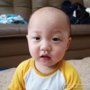 『유아로션』 민감하고 연약한 우리 아이 피부를 지켜줄 EWG그린등급을 받은 베이비크림.. 비더마틱...