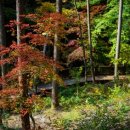 산림생태문화체험단지 이미지