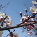 한우물 농장 이미지