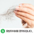 247외과의원 이미지