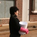 조전1리 이미지