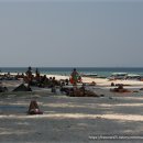 바닷가 풍경 이미지