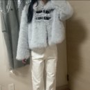 퍼피트렌드 | 일리고 퍼피 숏 퍼 자켓 그레이_내돈내산 솔직후기🧸