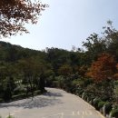 강화초지인삼센타