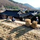 의령 상정리 조씨고가 이미지