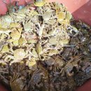 섬진강메기매운탕전문점 이미지