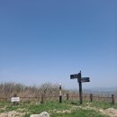 제196회 태백 금대봉~검룡소 산행(야생화) 안내 이미지