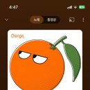 고미푸딩 이미지