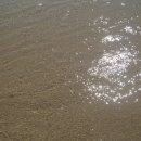 포항촌캉스 이미지