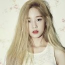 사인스타 이미지