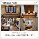택하다, 스테이 | 제주 동쪽 표선 숙소 택하다 스테이! 내돈내산 감성숙소 후기!