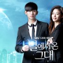 별그대 | 별에서 온 그대 (줄거리, 관전포인트, 후기)