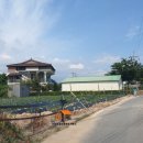 고척리가공인중개사사무소 이미지