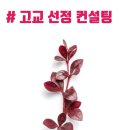 입시앤컨설팅 고입컨설팅 안내 (천안고, 중앙고, 복자여고, 북일여고, 천안여고, 쌍용고, 월봉고...