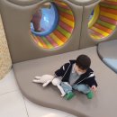 고릴라치과의원 이미지