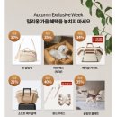 (주)아이소프트 | 밀리옹 소프트베이글백 M 내돈내산 실망스러운 후기(반려견 이동가방)