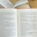 필로소퍼 | 기록, 여름방학같던 연휴, 울산 카페 티르르, 안산 카페 아이미슈, 집콕일상, 뉴필로소퍼 철학 잡지 후기