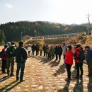 금곡영화마을 | 20171118 토요걷기(사당역-금곡영화마을-양재역) 후기 #8
