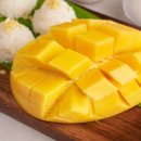 햇님과일 | 달콤함이 터지는 햇님 망고참외 솔직 후기🥭