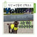 무학근린공원 화장실 | 익산 강아지산책 추천 그늘 많은 신흥근린공원
