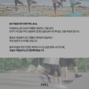 함께 즐기는 리듬 스포츠 A | 러닝헤어밴드 러닝템 추천 운동할 때 땀 걱정 줄여준 아일 스포츠헤어밴드 후기