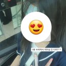 모세휠체어 이미지