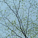 강동한의원 이미지