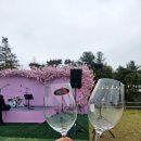 워커힐 와인페어 구름위의 산책 후기 와인추천