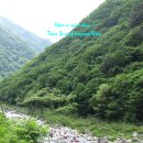미산2 티스토리