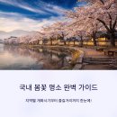 현천2구마을회관 | 국내 봄꽃 명소는 어디? 지역별 개화시기 가이드와 즐길 거리까지!