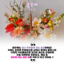 꽃안애 이미지