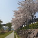 한냉 이미지