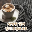 🍀11월20일 출석합니다 이미지