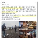 시애틀비호텔 | 시애틀여행 추천 코스🏞️ 시내투어&amp;야경투어로 꽉 채우는 하루!