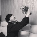 헤이즈미 이미지
