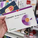 청라동물약국 이미지