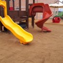 영양초교병설유치원 이미지