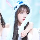 비올레타
