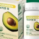 카젠 이미지