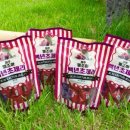 배동문농장 이미지