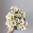 힐링 플라워 꽃꽂이 이미지