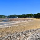 곰섬야영장 이미지